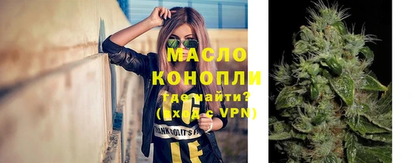 молекула духа Горнозаводск