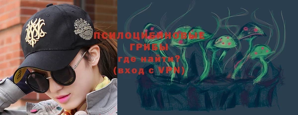 хмурый Горно-Алтайск