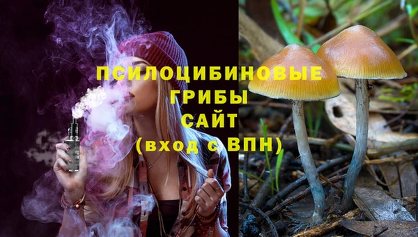 молекула духа Горнозаводск