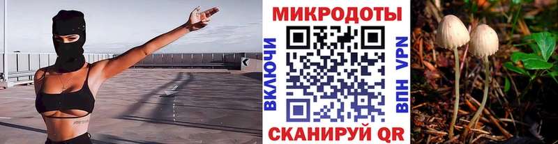Галлюциногенные грибы прущие грибы  Вологда 