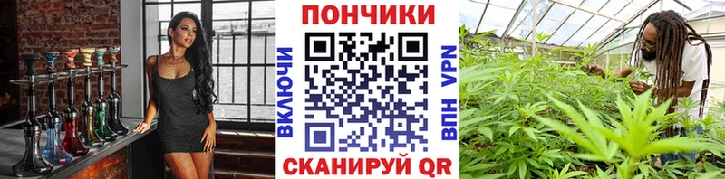 Шишки марихуана семена  гидра ссылки  Вологда 